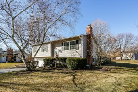 930 Cordova Ct, Wheaton, IL 60189 photo 21