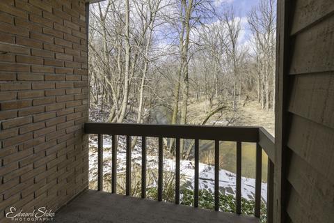 250 Spring Cove Dr, Elgin, IL 60123 photo 12