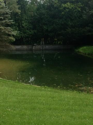 210 Blackhawk Trl, Algonquin, IL 60102 photo 22