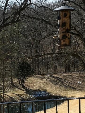 210 Blackhawk Trl, Algonquin, IL 60102 photo 28