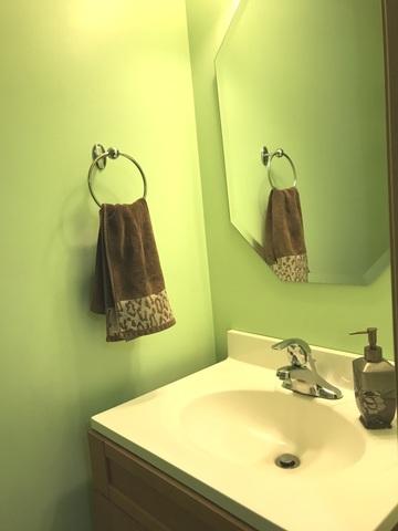 730 Serendipity Dr, Aurora, IL 60504 photo 17