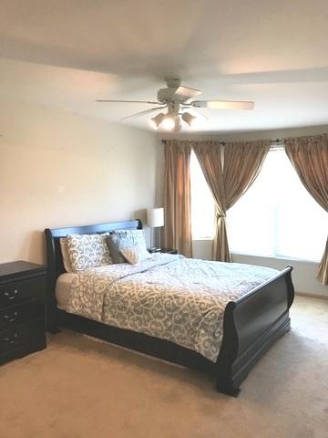 730 Serendipity Dr, Aurora, IL 60504 photo 19