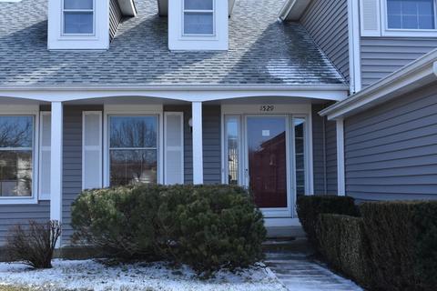 1529 Laburnum Rd, Hoffman Estates, IL 60192 photo 2