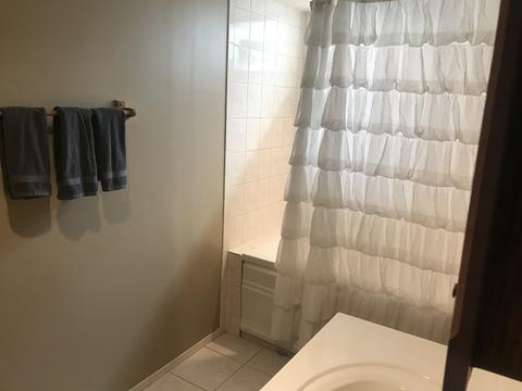 314 N 8th Ave, Des Plaines, IL 60016 photo 14
