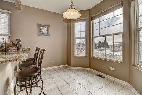 25404 Cove Ct, Plainfield, IL 60544 photo 6