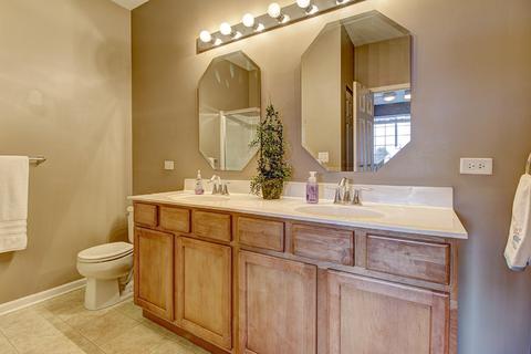 25404 Cove Ct, Plainfield, IL 60544 photo 10