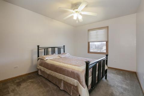 13429 Blackstone Ln, Plainfield, IL 60585 photo 22