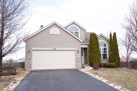 2113 Winding Lakes Dr, Plainfield, IL 60586 photo 1