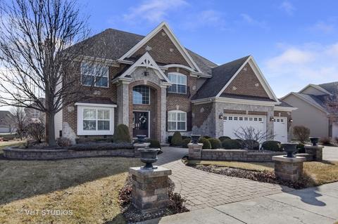 12917 Alpine Way, Plainfield, IL 60585 photo 1