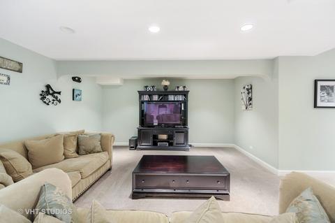 12917 Alpine Way, Plainfield, IL 60585 photo 29