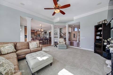 12917 Alpine Way, Plainfield, IL 60585 photo 3