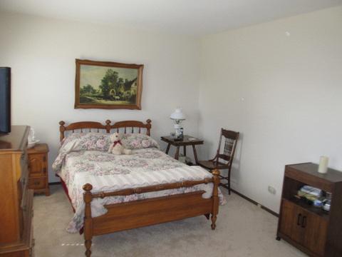 1389 Meyer Rd, Hoffman Estates, IL 60169 photo 12