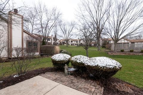 1017 Wheaton Oaks Dr, Wheaton, IL 60187 photo 10