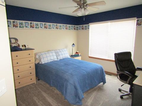 9723 Compton Dr, Huntley, IL 60142 photo 14
