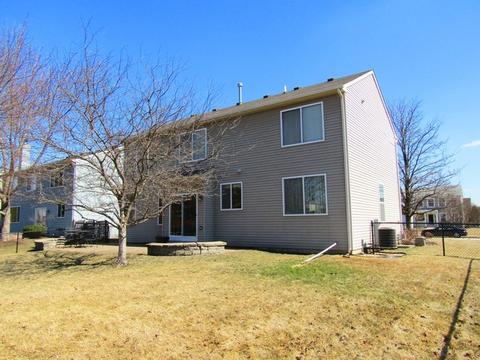 9723 Compton Dr, Huntley, IL 60142 photo 18