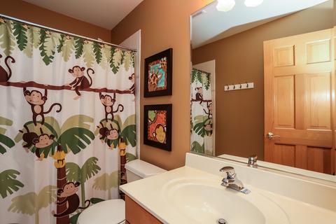 253 Hawk Hollow Dr, Bartlett, IL 60103 photo 19