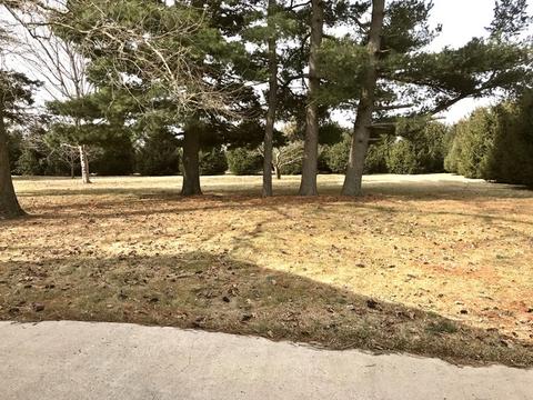 417 W Maple St, Malden, IL 61337 photo 6