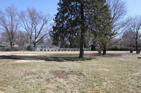 218 S Lyle Ave, Elgin, IL 60123 photo 4