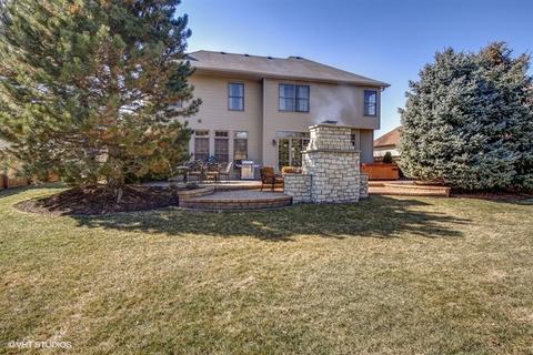 12617 Coreopsis Ct, Plainfield, IL 60585 photo 23