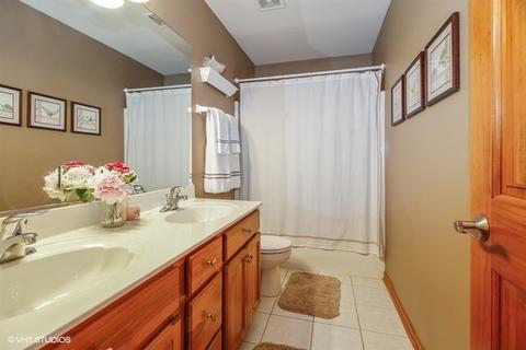 12617 Coreopsis Ct, Plainfield, IL 60585 photo 18