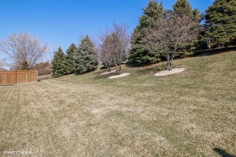 12617 Coreopsis Ct, Plainfield, IL 60585 photo 26