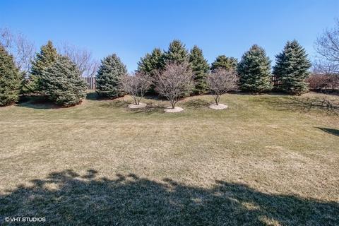 12617 Coreopsis Ct, Plainfield, IL 60585 photo 25