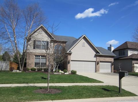 12617 Coreopsis Ct, Plainfield, IL 60585 photo 27