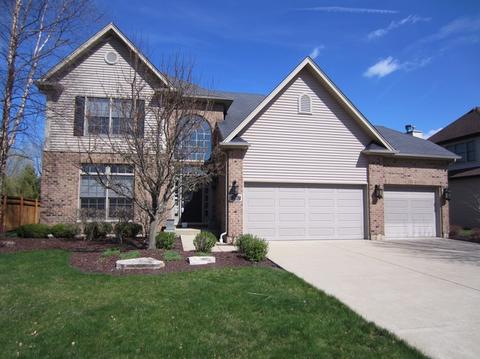 12617 Coreopsis Ct, Plainfield, IL 60585 photo 2