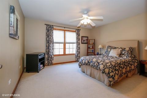 12617 Coreopsis Ct, Plainfield, IL 60585 photo 16