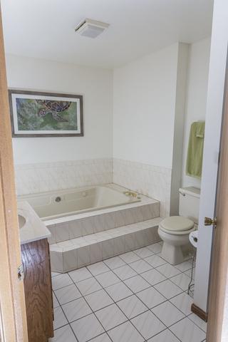 246 N Crest Ave, Bartlett, IL 60103 photo 9