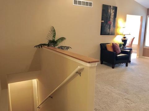 628 Sedgegrass Dr, Champaign, IL 61822 photo 4