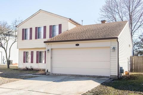 1207 S Appletree Ln, Bartlett, IL 60103 photo 3