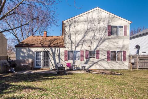 1207 S Appletree Ln, Bartlett, IL 60103 photo 42