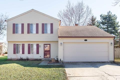 1207 S Appletree Ln, Bartlett, IL 60103 photo 2