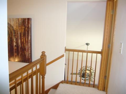 20825 W Barrington Ct, Plainfield, IL 60544 photo 14