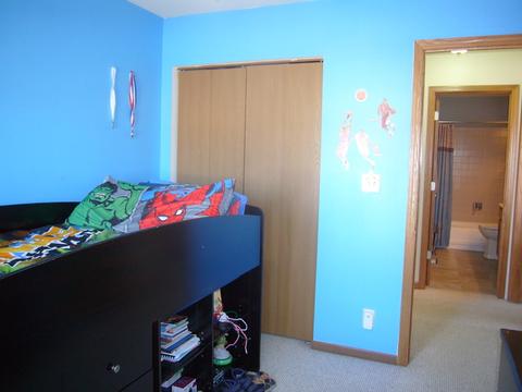 20825 W Barrington Ct, Plainfield, IL 60544 photo 21