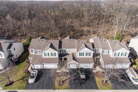 4039 Oak Tree Ln, Plainfield, IL 60586 photo 3