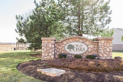 4039 Oak Tree Ln, Plainfield, IL 60586 photo 32