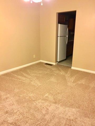 304 E 4th St, Depue, IL 61322 photo 7
