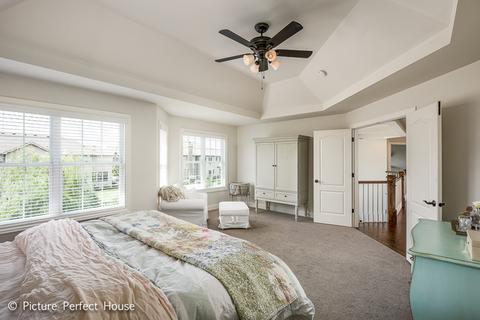 4615 Corktree Rd, Naperville, IL 60564 photo 28