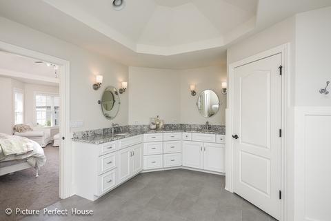 4615 Corktree Rd, Naperville, IL 60564 photo 30