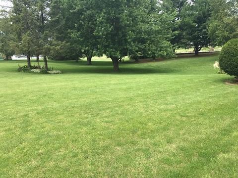 1783 Clearview Rd, Dixon, IL 61021 photo 30