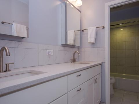 1333 Maple Ave #2E, Evanston, IL 60201 photo 17