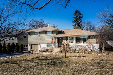 218 S Beverly St, Wheaton, IL 60187 photo 3