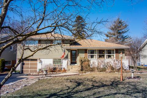 218 S Beverly St, Wheaton, IL 60187 photo 4