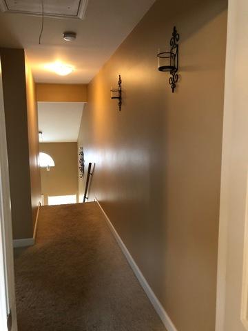 8207 Daniel Dr, Justice, IL 60458 photo 10