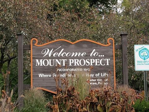 1761 Corktree Ln, Mount Prospect, IL 60056 photo 22