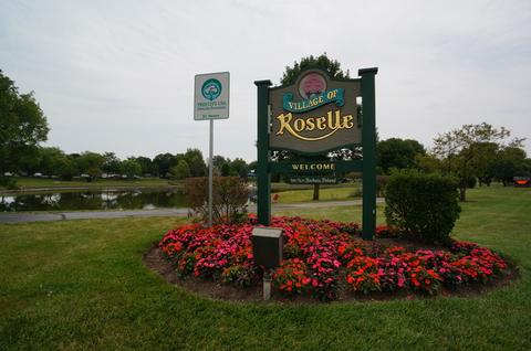 809 Cypress Ct, Roselle, IL 60172 photo 33