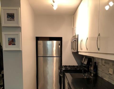 1 E Scott St #2008, Chicago, IL 60610 photo 6