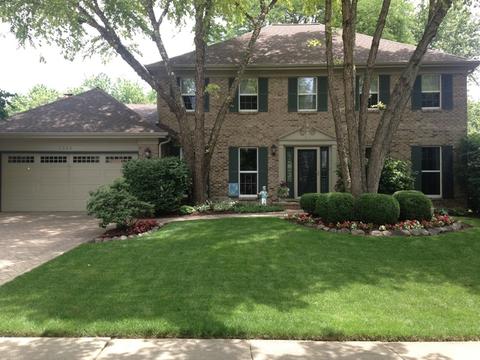 1206 Johnson Dr, Naperville, IL 60540 photo 1